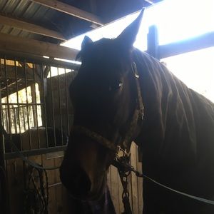 Meet your Posher, Sydney